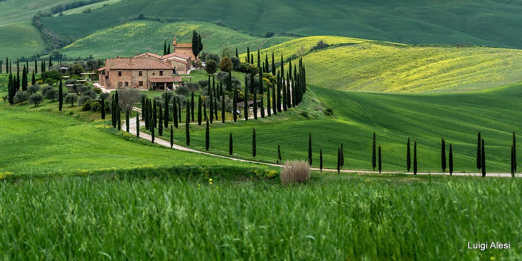 Florence